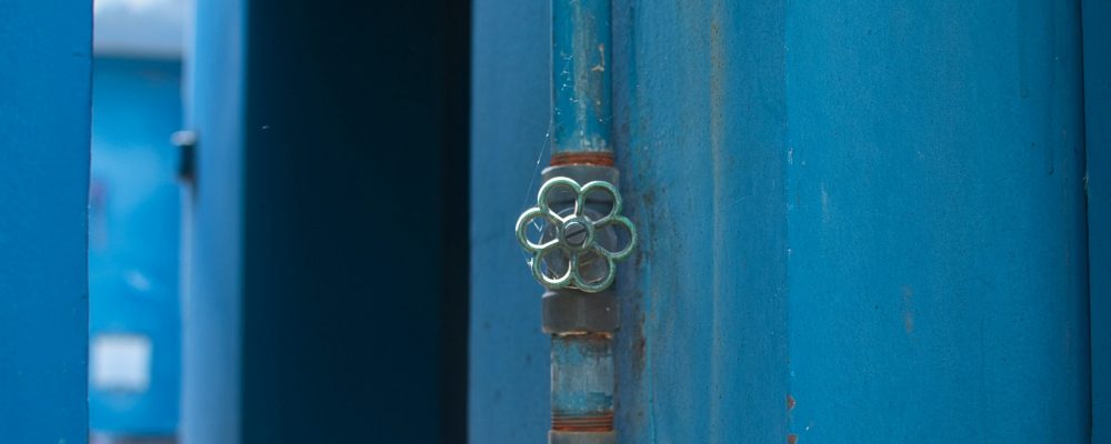 anja-bauermann-aU0clFhp2fM-unsplash (1) anja-bauermann-aU0clFhp2fM-unsplash (1)